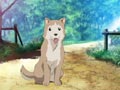 第8話